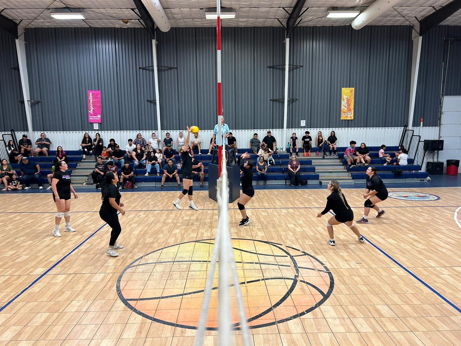 Women s Volleyball Match